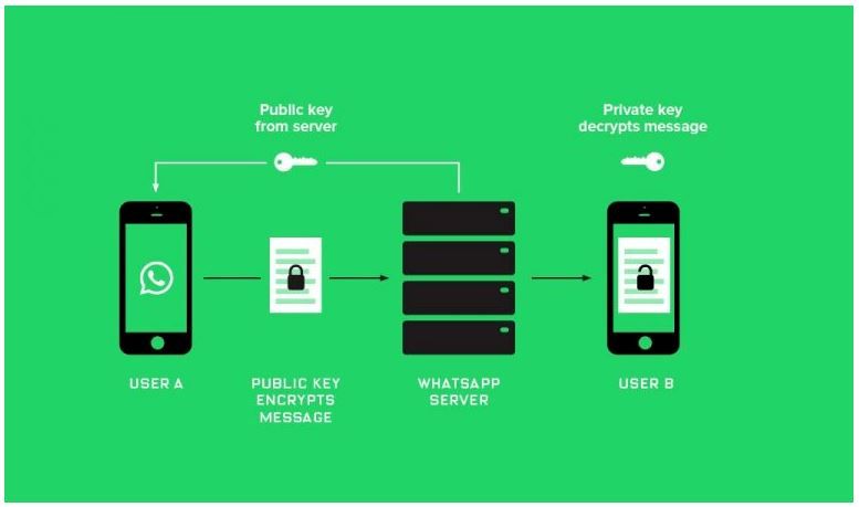 Certificació de WhatsApp Infografia de l'encriptació de WhatsApp