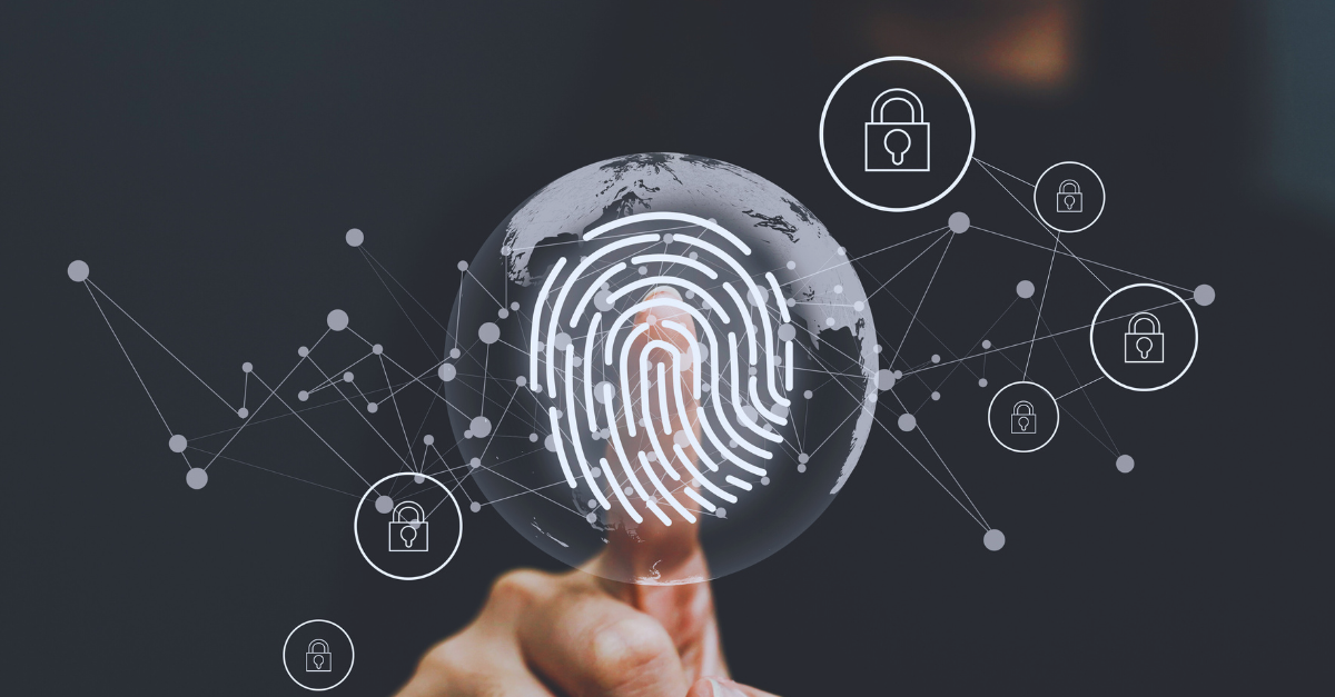 Cómo eliminar tu huella digital en internet